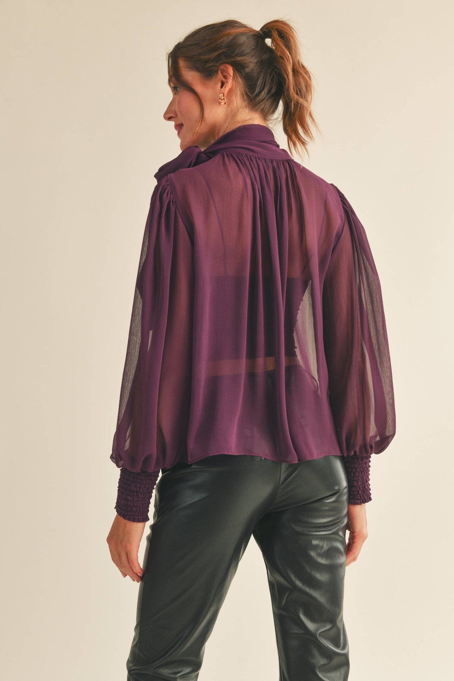 Sophia Long Sleeve Sheer Blouse