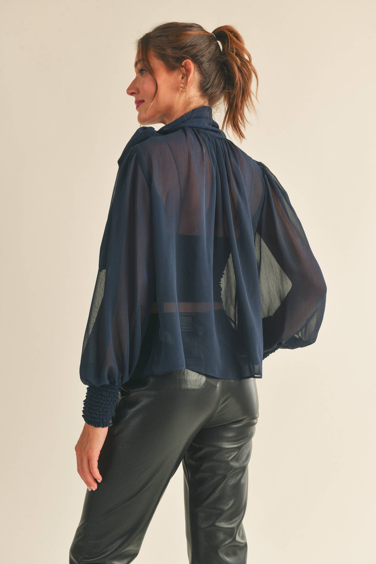 Sophia Long Sleeve Sheer Blouse