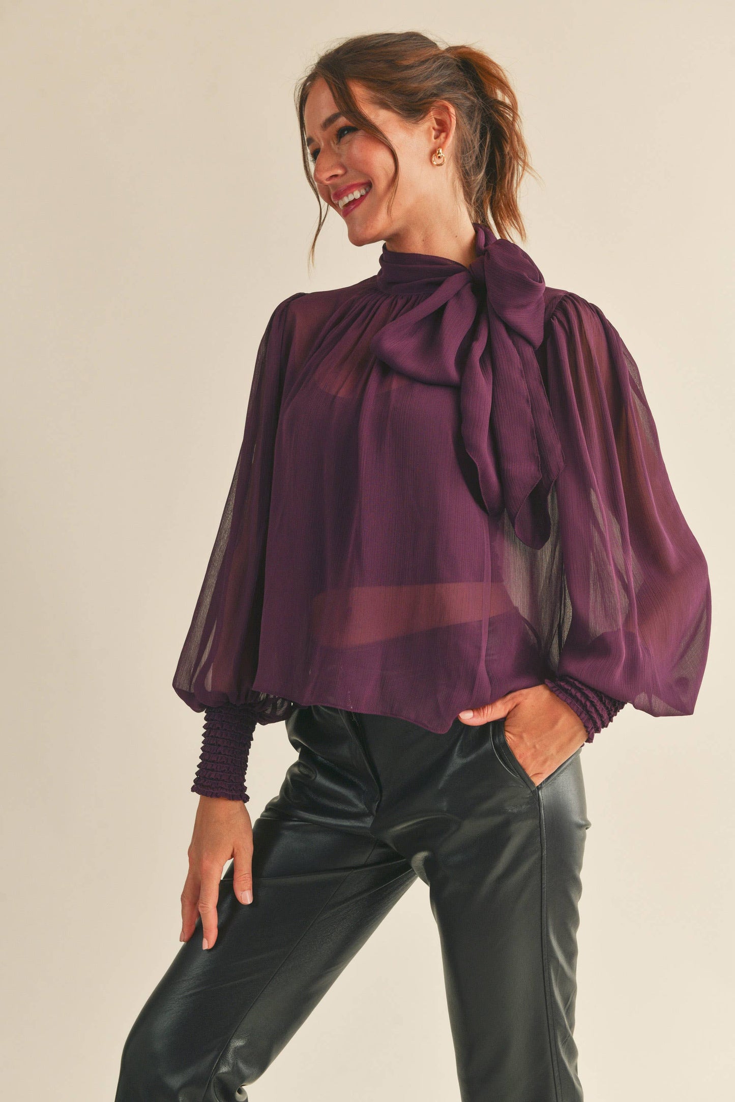 Sophia Long Sleeve Sheer Blouse